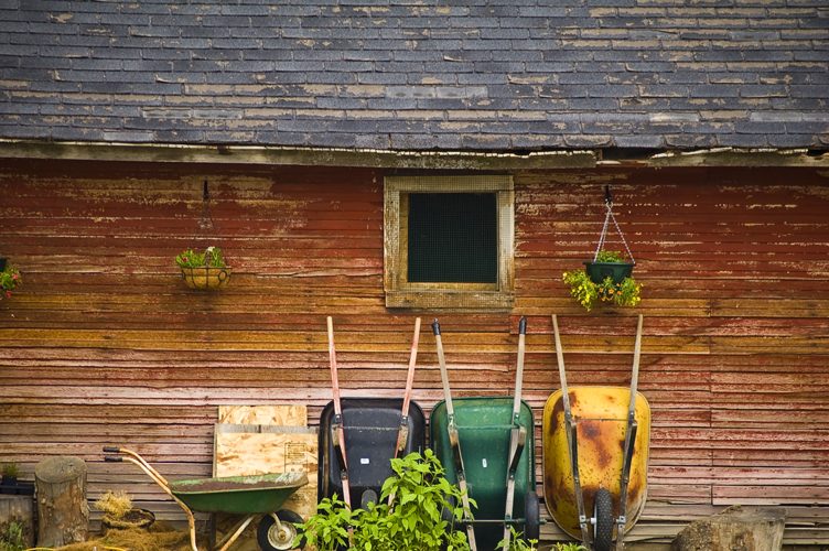Gardening Gurus Get Hives, Rashes and Itches