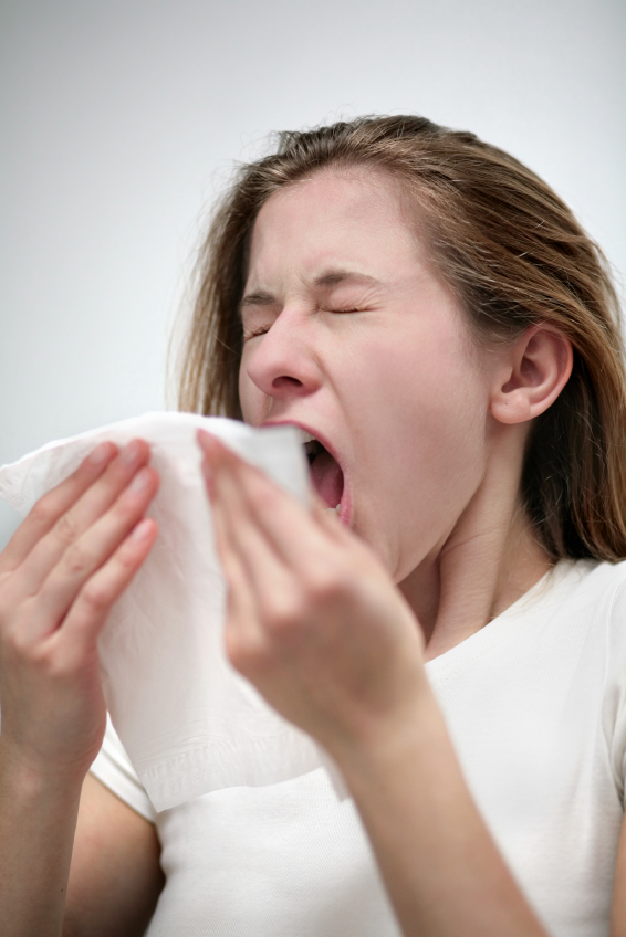 Do Fruits Stop the Sneezing?