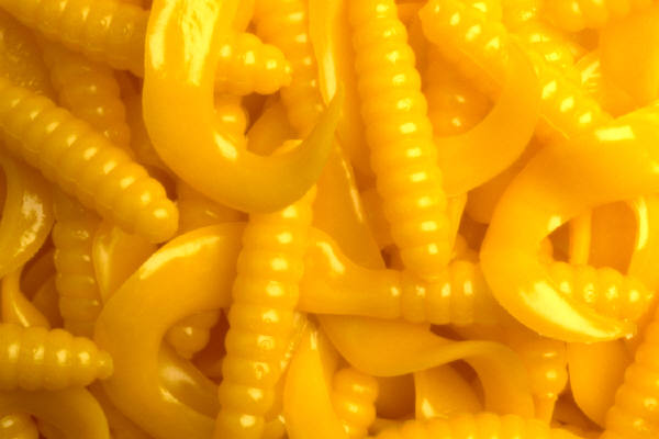 Something Slimy Slithering Through Cancer World